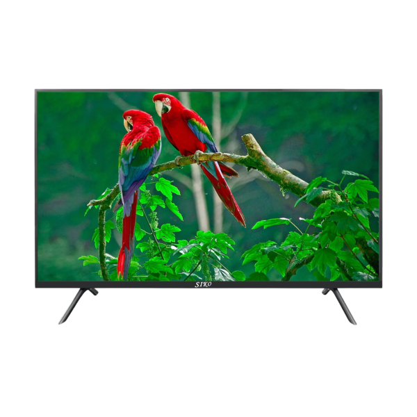 SIKO 24" BASIC TV : 24V18